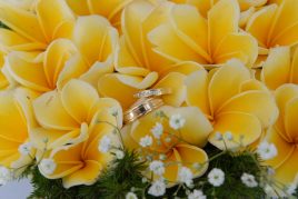 Elegant Paradise Wedding